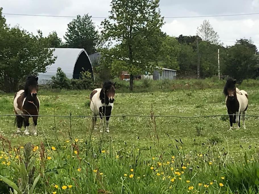 Gite Du Marques Saint-Thegonnec Loc-Eguiner Bagian luar foto
